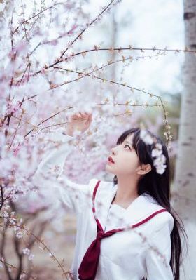 欧美精品一区二区三区四区五区_HD在线观看完整版